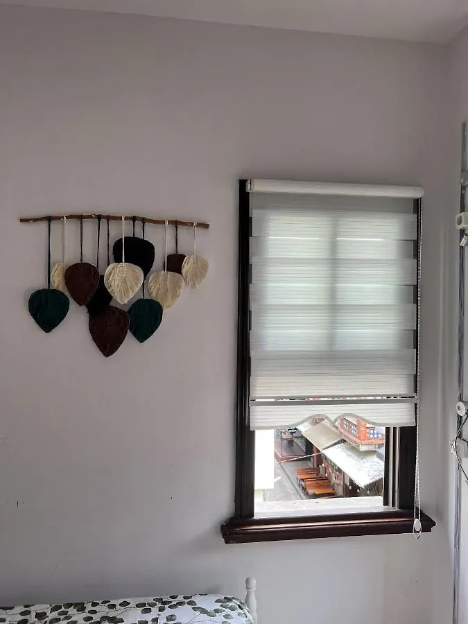 Gaia Art Hotel Istambul 0*,  Turquie